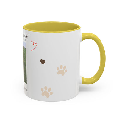 Colorful Mugs (11oz, 15oz)