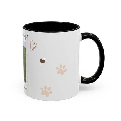 Colorful Mugs (11oz, 15oz)