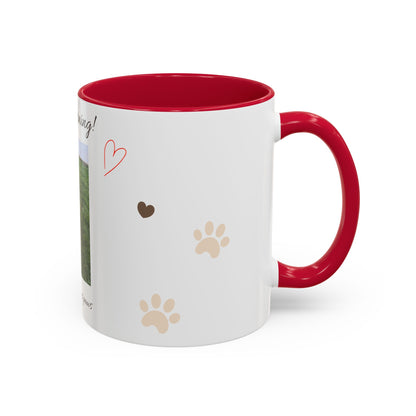 Colorful Mugs (11oz, 15oz)