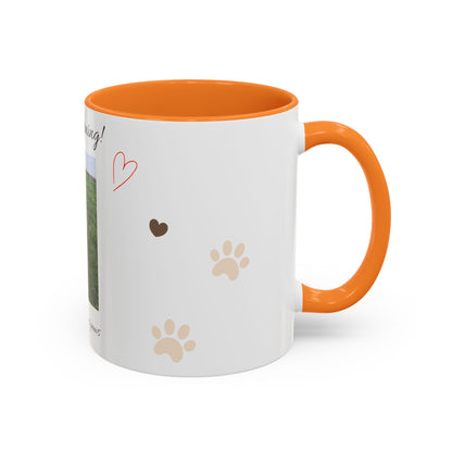 Colorful Mugs (11oz, 15oz)